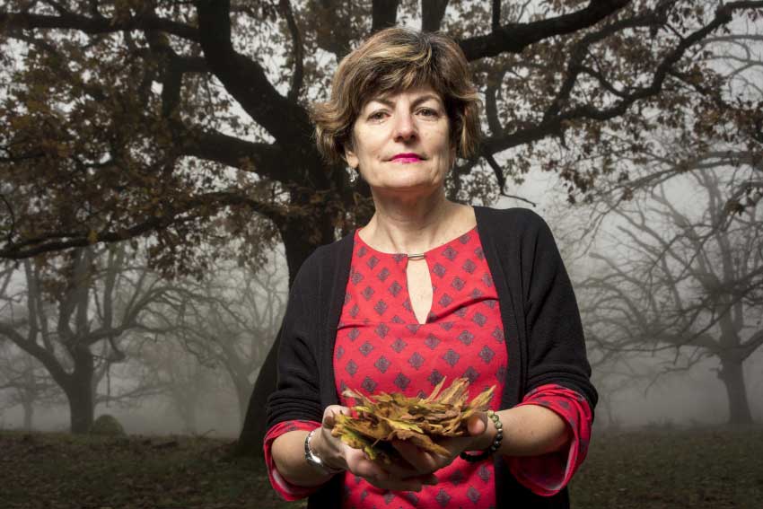 María Ángeles Pérez López